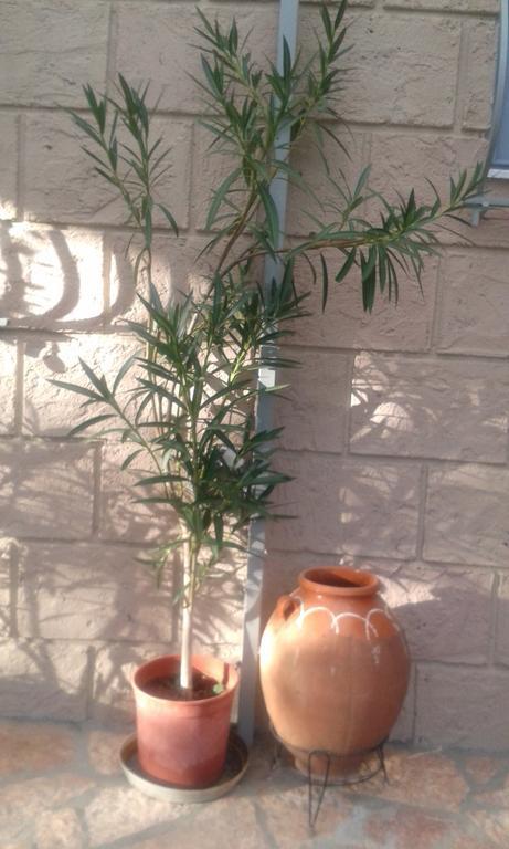 Sunny Holiday Home Kalamata Exterior foto